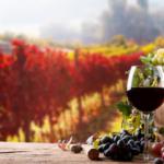 Какое вино полезно для здоровья – белое, красное или розовое